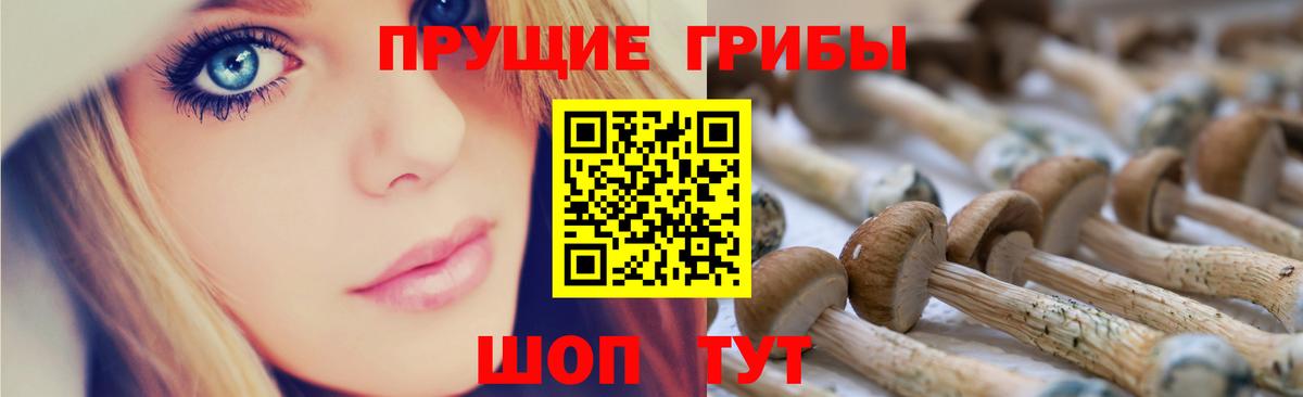 Учалы  Галлюциногенные грибы прущие грибы  Вход с VPN 